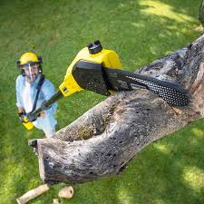 Best Stump Grinding and Removal  in Crowley, LA